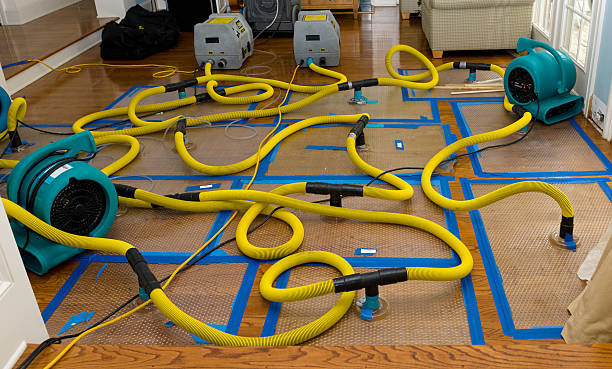 Professional Water Damage Restoration technician working in Attica, IN
